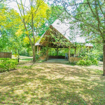 Meru Mbega Lodge Usa River Екстериор снимка