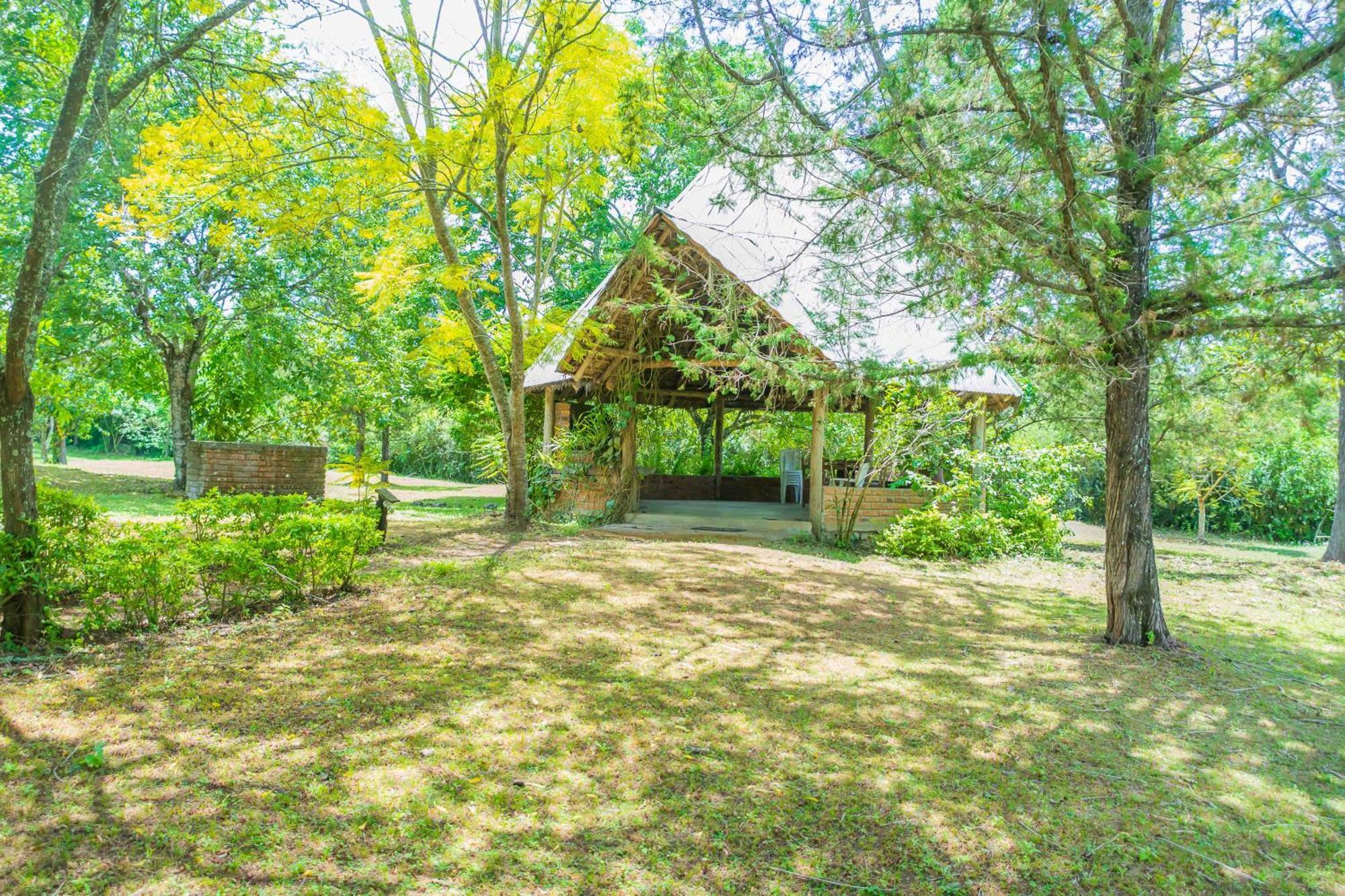 Meru Mbega Lodge Usa River Екстериор снимка