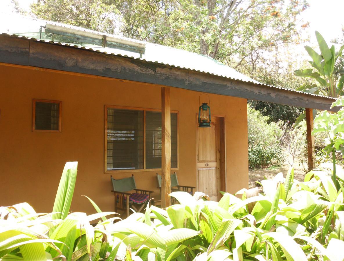 Meru Mbega Lodge Usa River Екстериор снимка