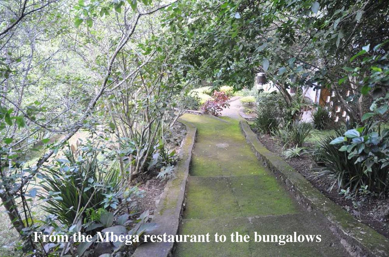 Meru Mbega Lodge Usa River Екстериор снимка